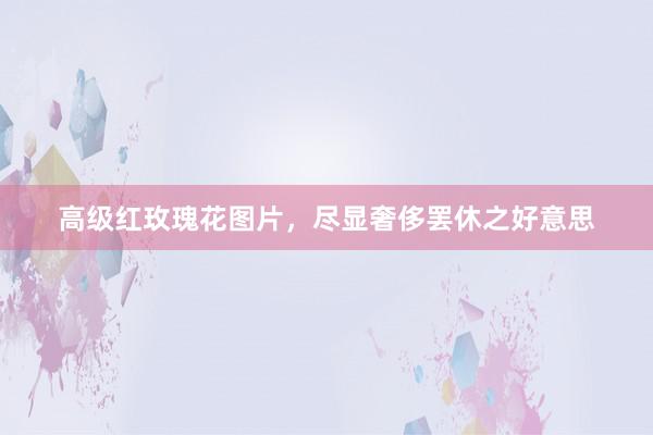高级红玫瑰花图片，尽显奢侈罢休之好意思